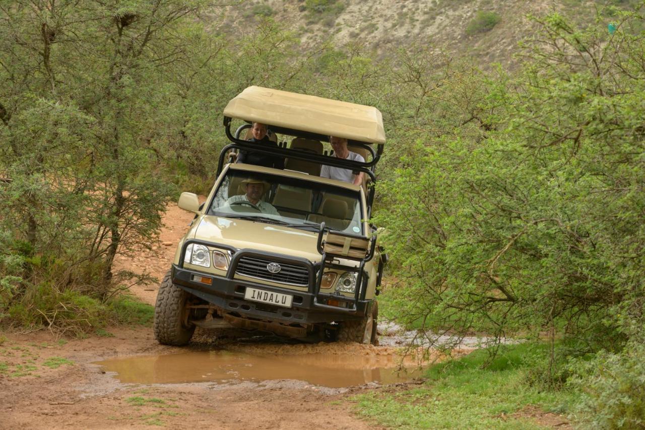 Indalu Game Reserve Boggomsbaai Extérieur photo