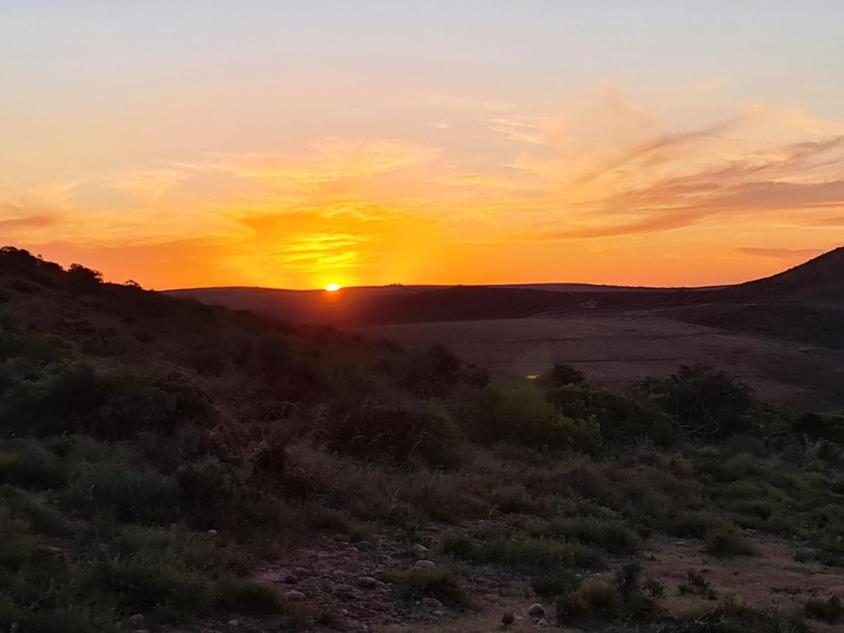 Indalu Game Reserve Boggomsbaai Extérieur photo
