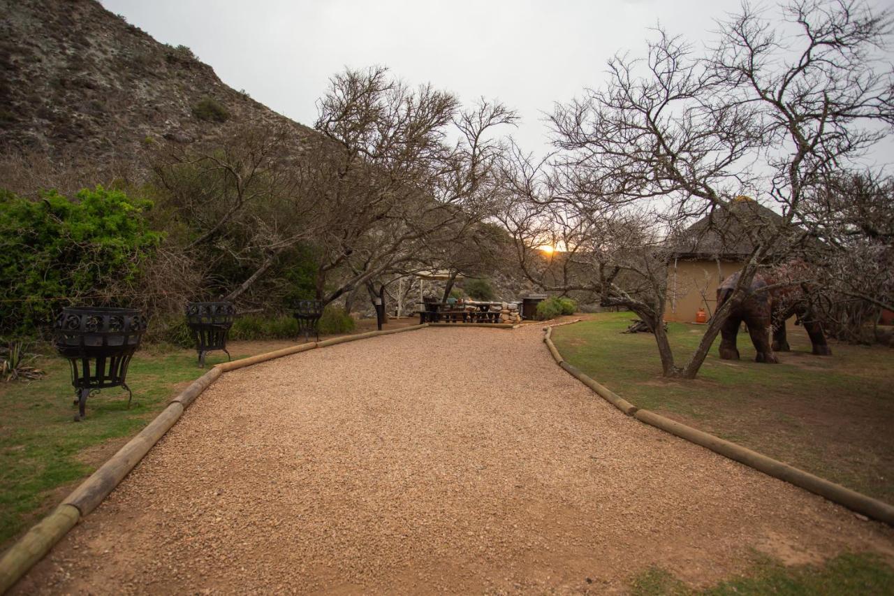Indalu Game Reserve Boggomsbaai Extérieur photo